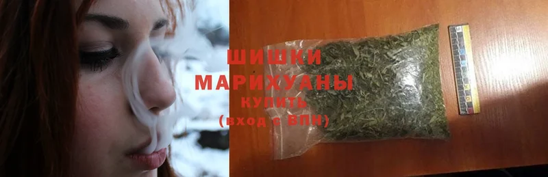 где купить наркоту  hydra ТОР  Канабис Ganja  Новая Ляля 